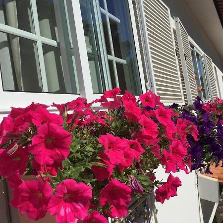 Residencial Celeste Águeda Екстериор снимка